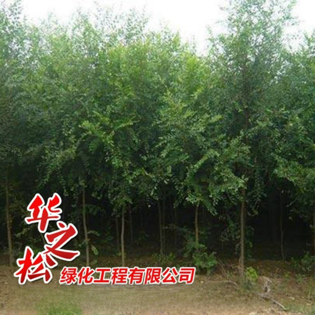 微信图片_202410091354552