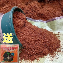 海南纯椰糠椰砖椰子营养土通用型脱盐新鲜养花种菜专用基质土清仓