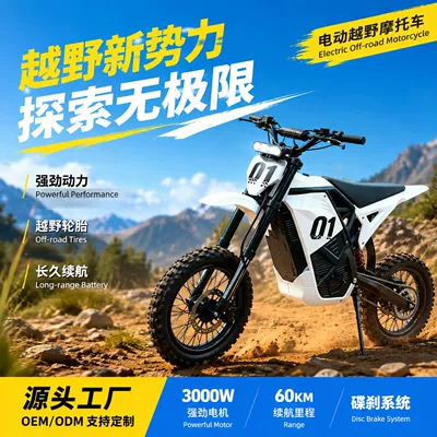 Elektrikli motosikletlər, electric motorcycle SS8.0EM5 48V lithium