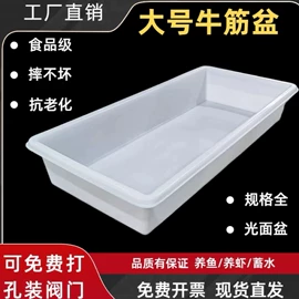 塑料桶;水桶、水缸;塑料盒