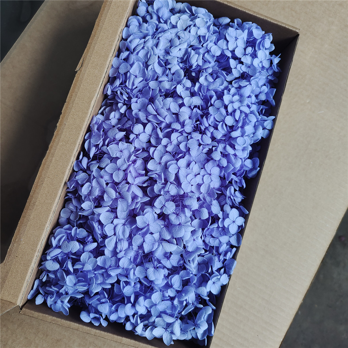 Flor eterna Hortensia Anna pequeña hoja flor seca flor real árbol de Navidad ventilador hecho a mano ramo DIY material paquete flor