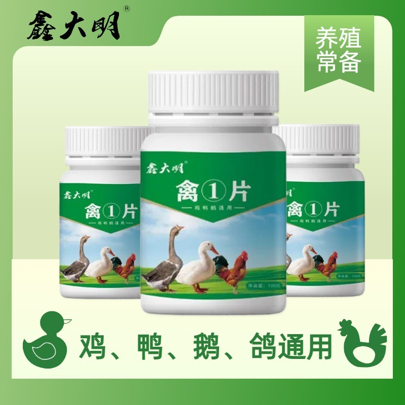 家禽① 家庭用腸の健康、呼吸器の健康、養鶏場での一般飼育、鶏、アヒル、ガチョウ、家禽製品|undefined