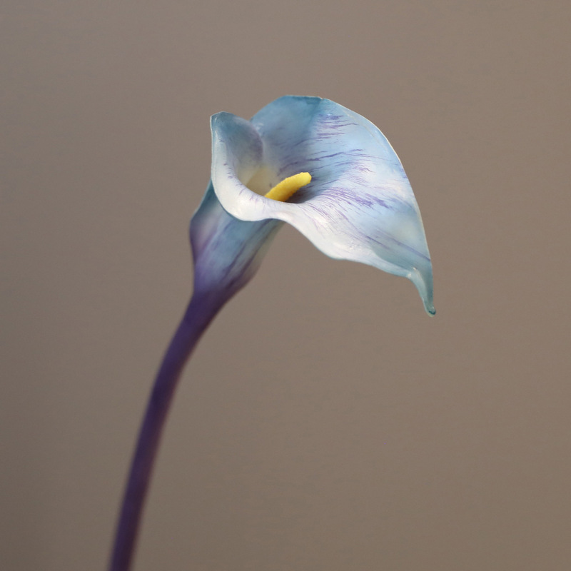PUの小さい海芋の手触りをシミュレーションします。|undefined