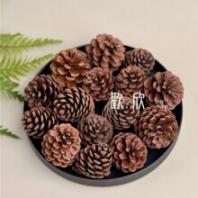 ���ɹ�������Ȼ���ɸɻ��ɹ����~�ɸ��L��ֹ�DIY���ϰ��S�����l