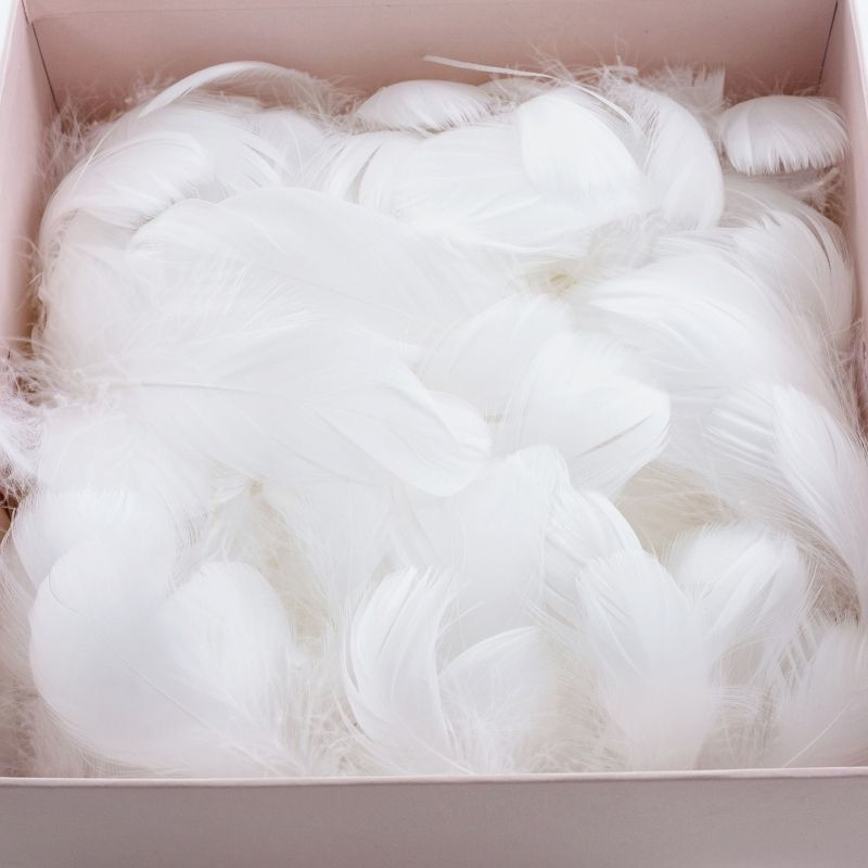 Feathers DIY manual Jewelry Material Science parts Gift box Filling soft colour One piece wholesale