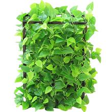 ��ˮ�����ړ��b��{��ˮ�ܾGֲ�p�@���ϼٻ������ڳ��l��