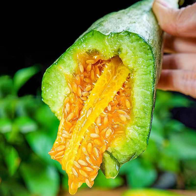 다다궈점장 추천 0.5kg