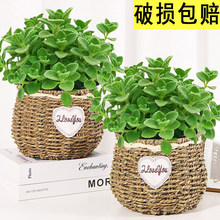 �����������҃ȳ���ζ��ú��Bֲ��һĨ��Gֲ����С�辰�����׻�