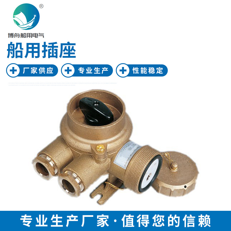CZKH202 船用插座 船用铜质带开关插座