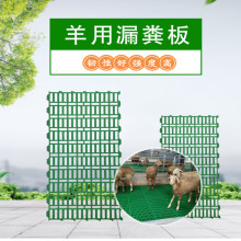羊用漏粪板 防滑羊床漏粪板 羊用漏粪地板价格 塑料羊床现货批发