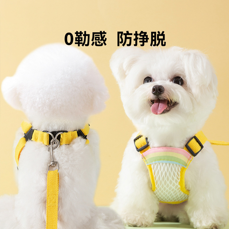 El perro sale con rejilla transpirable, correa para el pecho, correa para el arco iris, perro pequeño y mediano, peluche, gato, mascota, cuerda para pasear al perro