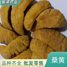 桑黄西藏桑黄源头货源大货批发灵芝桦树茸产地直销药材药用