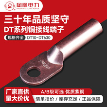 铜鼻子DT-101625紫铜镀锡酸洗国标AB级堵油铜线耳凤凰牌接线端子