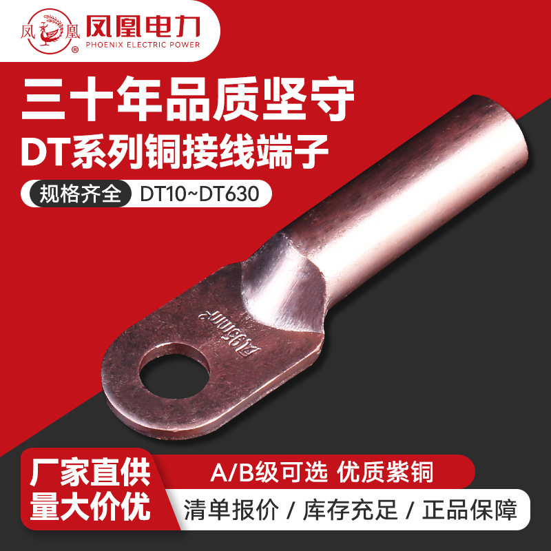 铜鼻子DT-101625紫铜镀锡酸洗国标AB级堵油铜线耳凤凰牌接线端子
