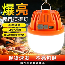 LED应急灯;庭院灯;电子灭蚊器