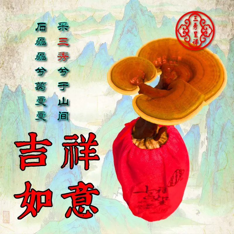 灵芝盆景活体嫁接两层摆件成熟灵芝室内观赏摆件可食用灵芝盆栽