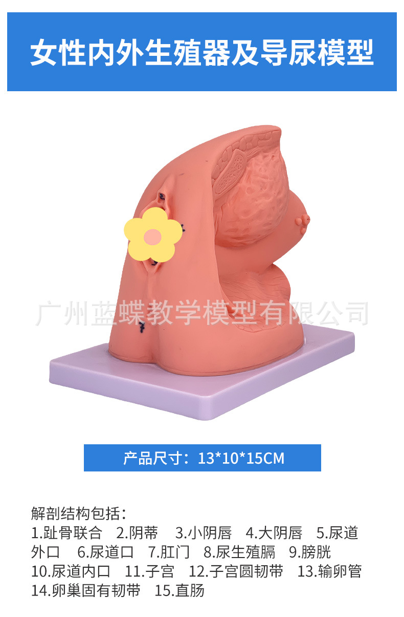 详情_12