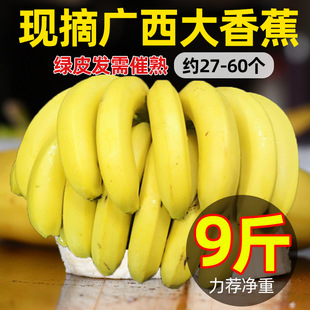 �V�����㽶���r�GƤ�l����쑪����ˮ���Ž����ܛŴ����F؛�ٰl