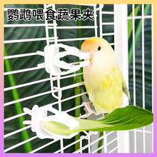 鹦鹉水果蔬菜夹零食果蔬夹支架玄凤牡丹鸟用品鸟笼配件鹦鹉喂食器