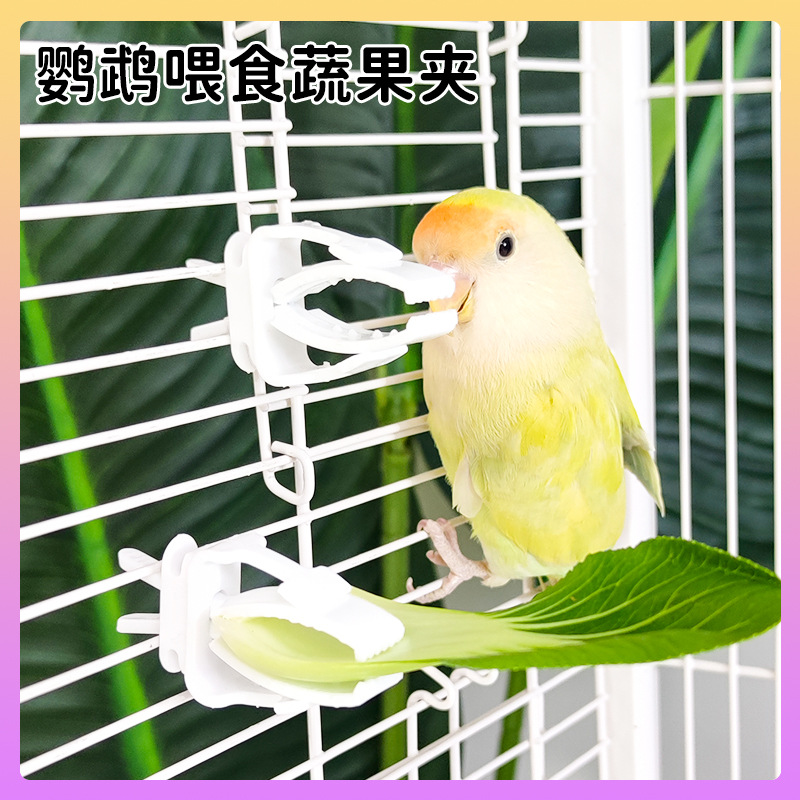 Parrot Fruit and Vegetable Clip Snack Fruit and Vegetable Clip Holder Black Phoenix Peony Bird Supplies Bird Cage Accessories Parrot Feeder
