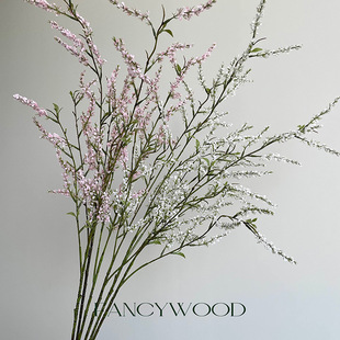����Ʒ�|ѩ�� ���l���� ����������diy ������ ��Ȼ�L ����b��