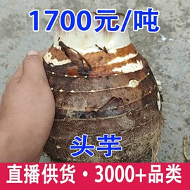 其他药食同源;普洱茶;花果茶