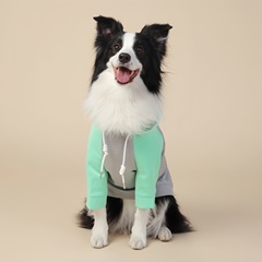 中型犬・大型犬用フード付きスウェットシャツ、四季対応、二足歩行タイプ、犬用ユニセックスカラーブロックペット服