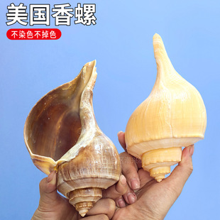 ���������Ȼؐ�������~��ˮ���쾰�bľ�з��ؐ�~��ֳ����Q��