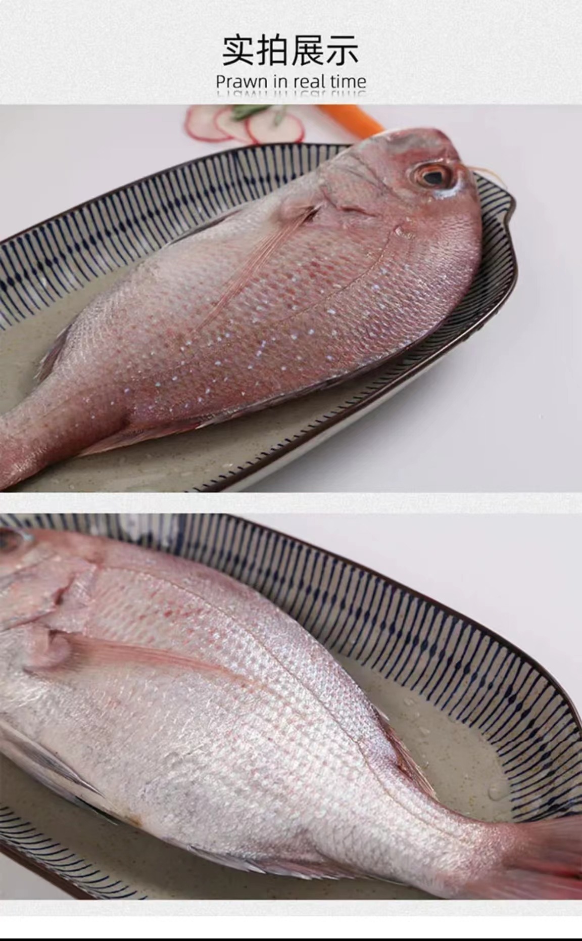 Ⅰ【严选食材供应】海钓真鲷鱼日料刺身加吉鱼冰鲜铜盆鱼红鲷鱼-阿里巴巴