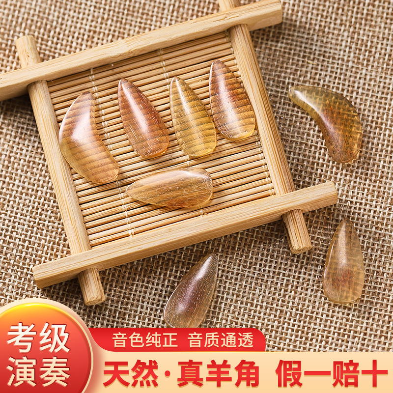 Professional Performance-Grade Guzheng Nails for Children and Adults, Suitable for Beginners and Exams, Special Nail Pieces and Adhesive Tape
