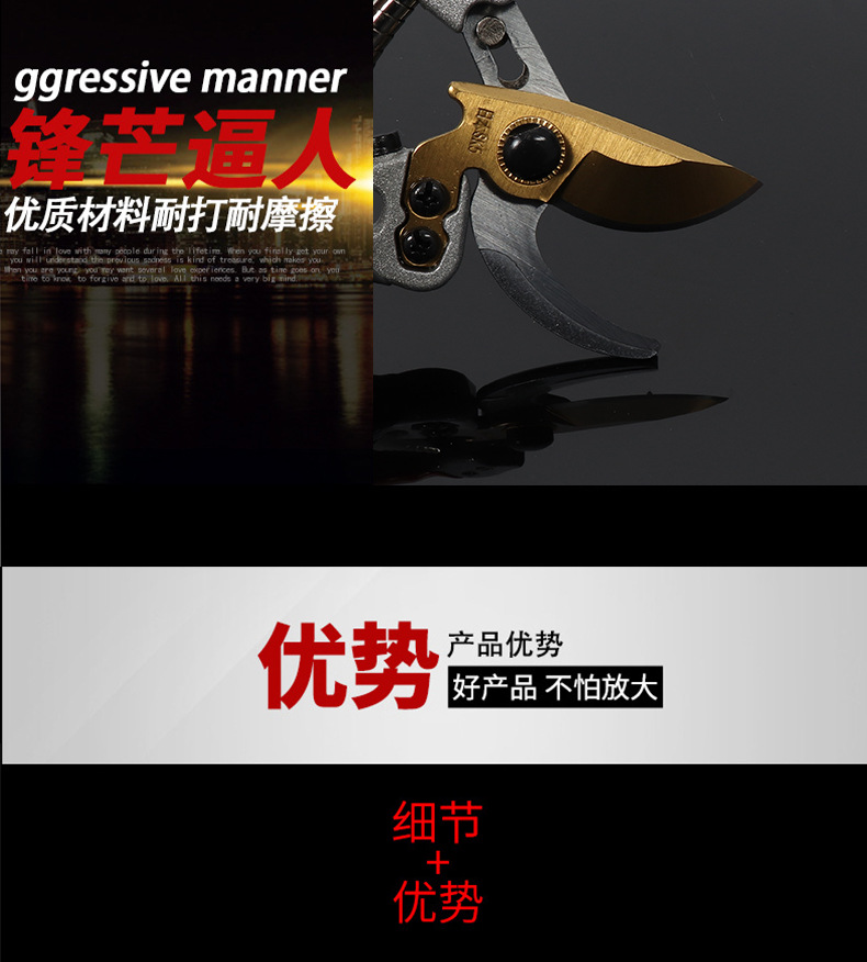 V5黑金刚_04