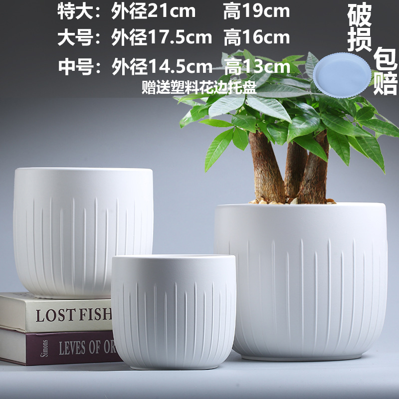 直販の陶器製植木鉢、胡蝶蘭専用鉢、家庭用リビングルーム、一件代発送|undefined