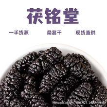 新货 散装 桑葚干 特级新疆黑桑葚干免洗无沙即食厂家直供泡茶泡