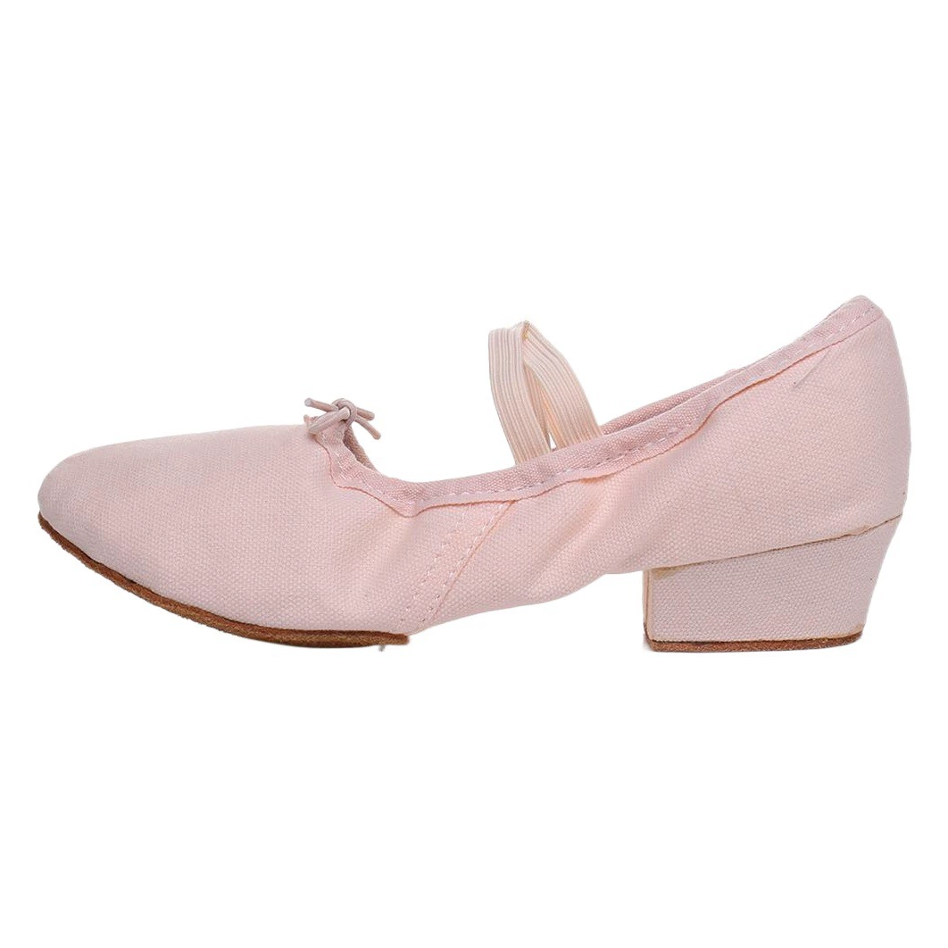 Оптовая Продажа с фабрики парусиновая обувь для учителей, женские танцевальные туфли с мягкой подошвой на каблуке, пятицветные балетки для танца живота