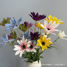 ����4�^̫ꖻ��ٻ�����̫ꖻ���@�L�񻨭h�廨ͥԺ���^����