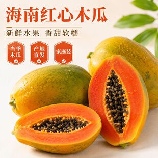 ���ϼt��ľ�����rˮ������ܛŴ����ľ�������b�a��ֱ�l��ͥ�b���l