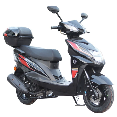 adult two-wheeled vehicle, Motosikletlər