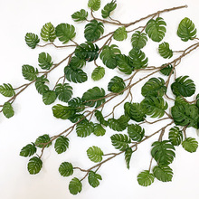 ����ֲ���پGɫ�������~β�ټٻ��Gֲ�ٗl���ٱڒ�ֲ�ܛ�b�廨