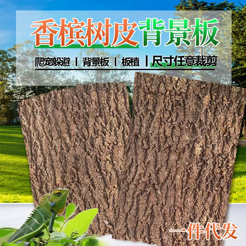 香槟软木栓树皮天然真树皮宠物爬宠躲避攀爬背景板装饰鱼缸造景