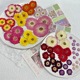 干花;鲜花花艺制品;美甲饰品