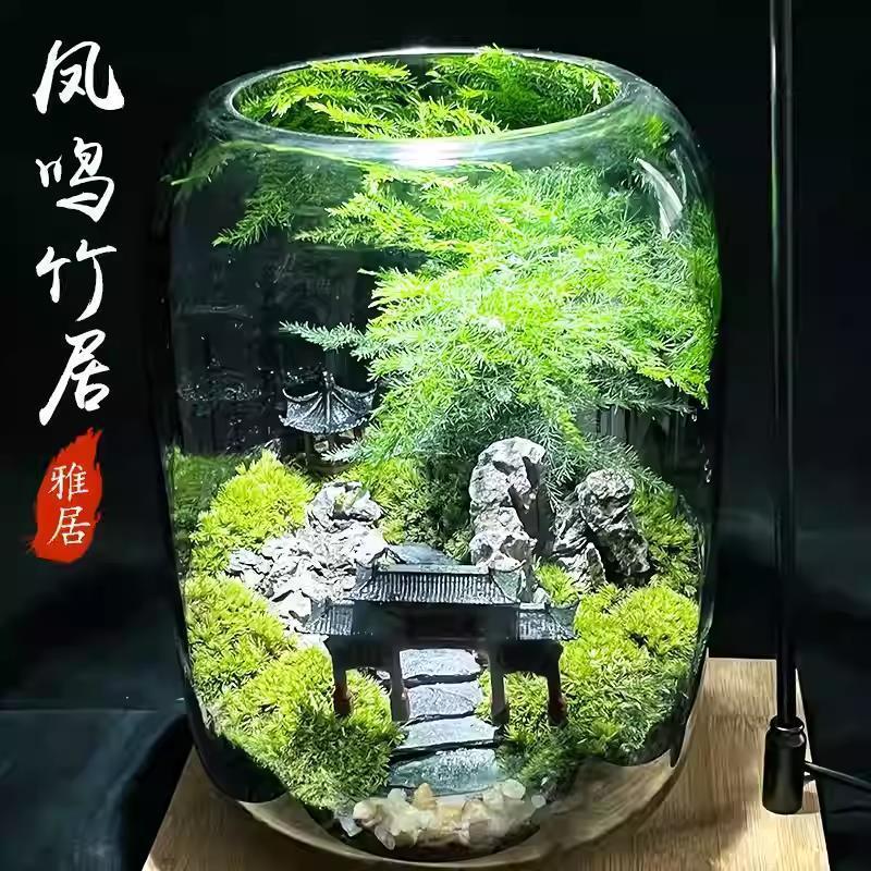 昇進デスクトップ苔マイクロ風景生態ボトル黒神話悟空鉢植えクリエイティブ装飾品オフィス植物|undefined