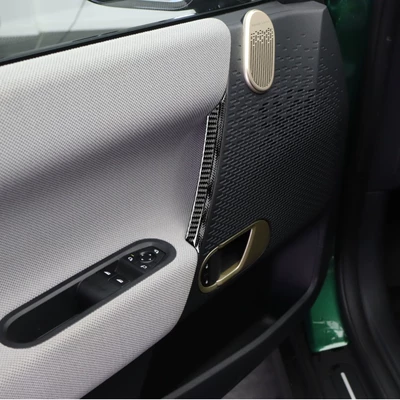 Real Carbon Fiber Resin – Other Automotive Interior Supplies