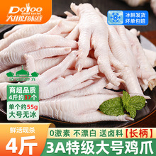 大用鸡爪生冷冻批发整箱有骨清真大号鸡脚生鲜商用凤爪新鲜生鸡爪
