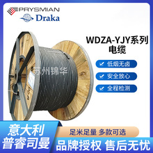 ���׿�WDZA-YJYϵ���~оWDZA-YJY5*6/10/16��|����50�����ģ�