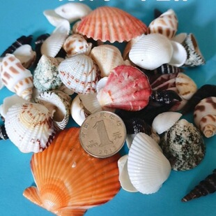 ��Ȼؐ�������ֹ�diyؐ������2-5cm�����b100���~����Ӱ