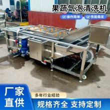 果蔬清洗机连续式高压喷淋药材清洗机全自动农作物清洗气泡清洗机