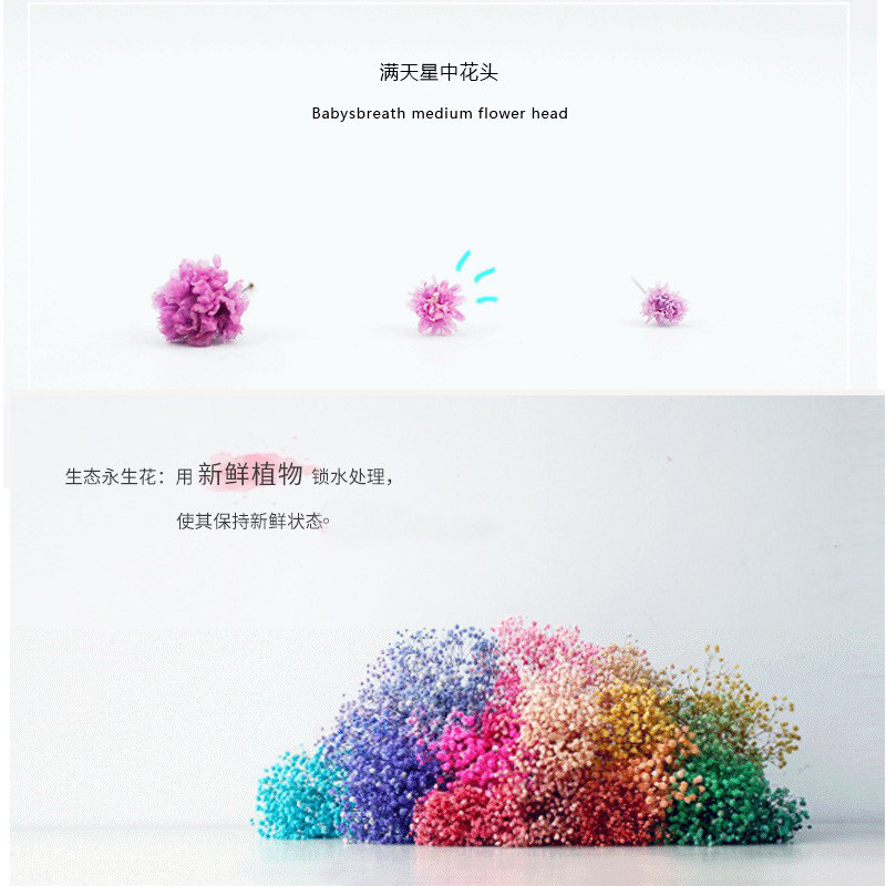 ネイルアートの乾いた花の永遠の命の満天の星の花束は顔の化粧の爪のアクセサリーの光を貼ることができます。|undefined