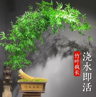 ���ڳ�Ʒ�옶�Ϙ����ҿ͏d�k���ҶU�ⱱ���⾳�����辰