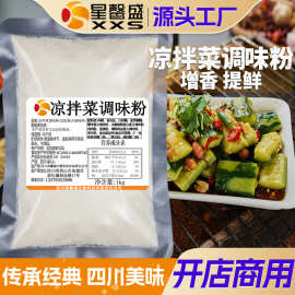 星馨盛 DS104凉拌菜调味粉 开店摆摊商用素菜荤菜调味品餐饮店调