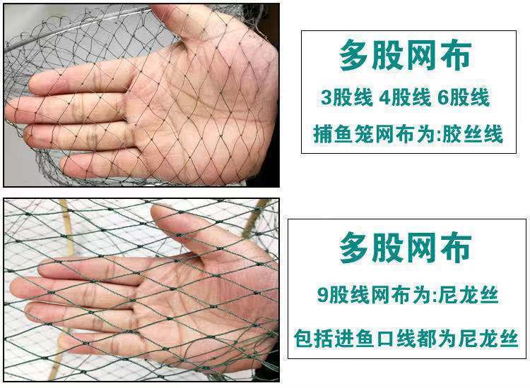 145f4d15-f270-410c-896d-524ed71d3aeb.jpe